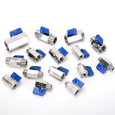 3/4 "-12" NPT 여성 스레드 스테인리스 스틸 소공 밸브